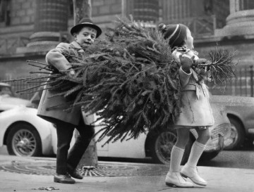 Памятка о порядке утилизации новогодних хвойных деревьев